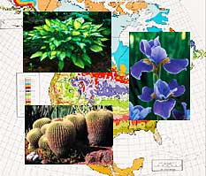 Collage showing research applications