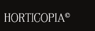 This Is my store logo. [home link]