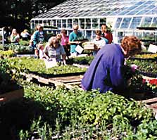 Garden Center Shoppers