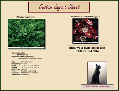 Sample custom layout