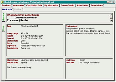 Information tab